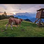 Bergliebe *