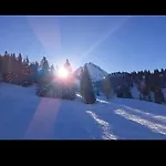 Bergliebe
