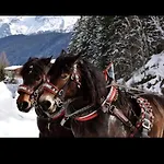 Апартаменты Bergliebe *