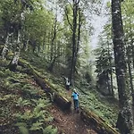 Апартаменты Bergliebe *
