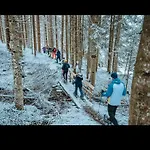 Апартаменты Bergliebe *
