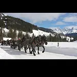 Bergliebe Апартаменты *