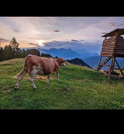 Bergliebe *