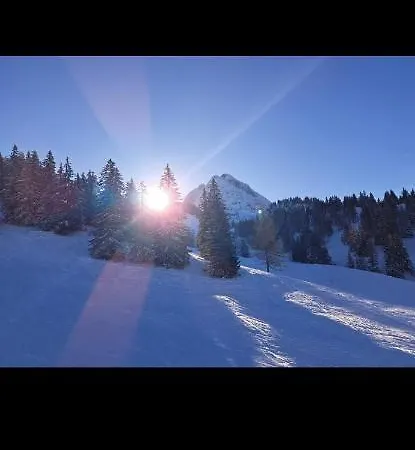 Bergliebe