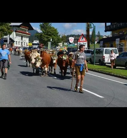 Bergliebe Appartement