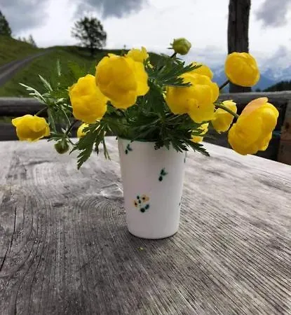 Lägenhet Bergliebe Sankt Martin am Tennengebirge