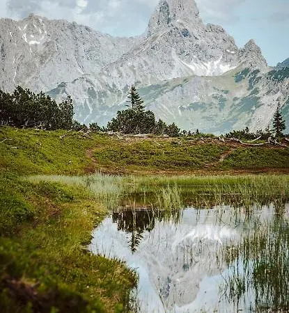Bergliebe * Sankt Martin am Tennengebirge