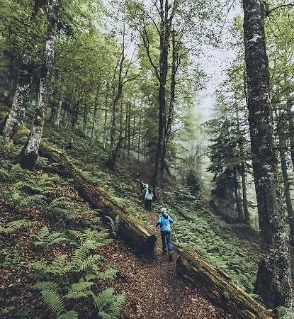 Apartmán Bergliebe *