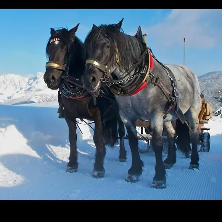 Lägenhet Bergliebe Sankt Martin am Tennengebirge