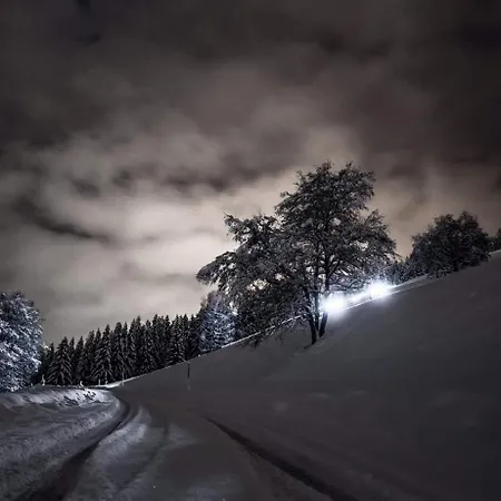 Bergliebe * Sankt Martin am Tennengebirge