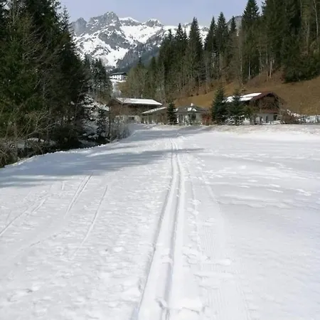 Bergliebe