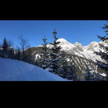 Bergliebe * Sankt Martin am Tennengebirge