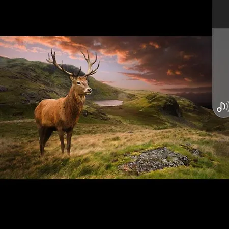 Bergliebe Sankt Martin am Tennengebirge