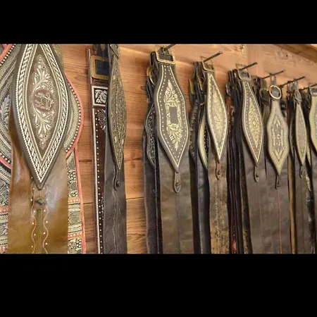 Appartement Bergliebe