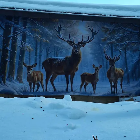 Apartmán Bergliebe *