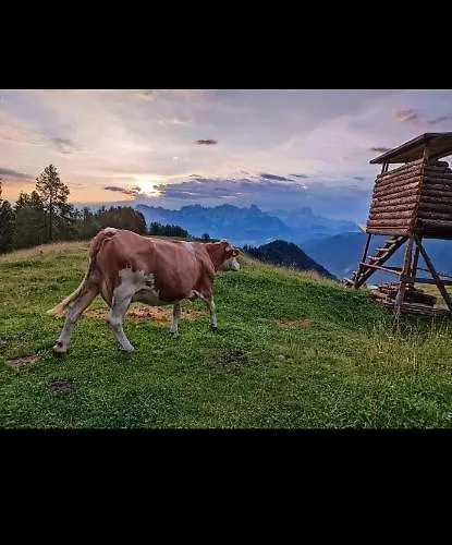 Bergliebe *